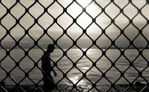 Outsiders-by-Design-Photoroll-300x186